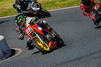 enduro-digital-images;event-digital-images;eventdigitalimages;mallory-park;mallory-park-photographs;mallory-park-trackday;mallory-park-trackday-photographs;no-limits-trackdays;peter-wileman-photography;racing-digital-images;trackday-digital-images;trackday-photos